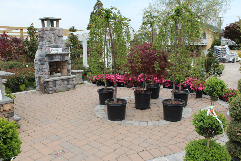 paver display chantilly garden center