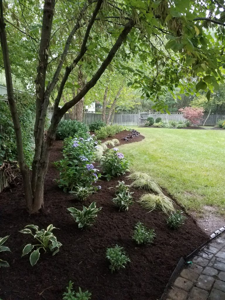 clean out garden