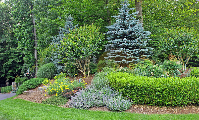 chantilly landscape companies