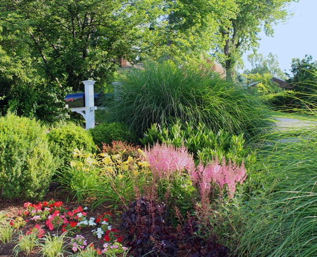 Landscaping Plants | Chantilly VA | Greenworks Landscaping