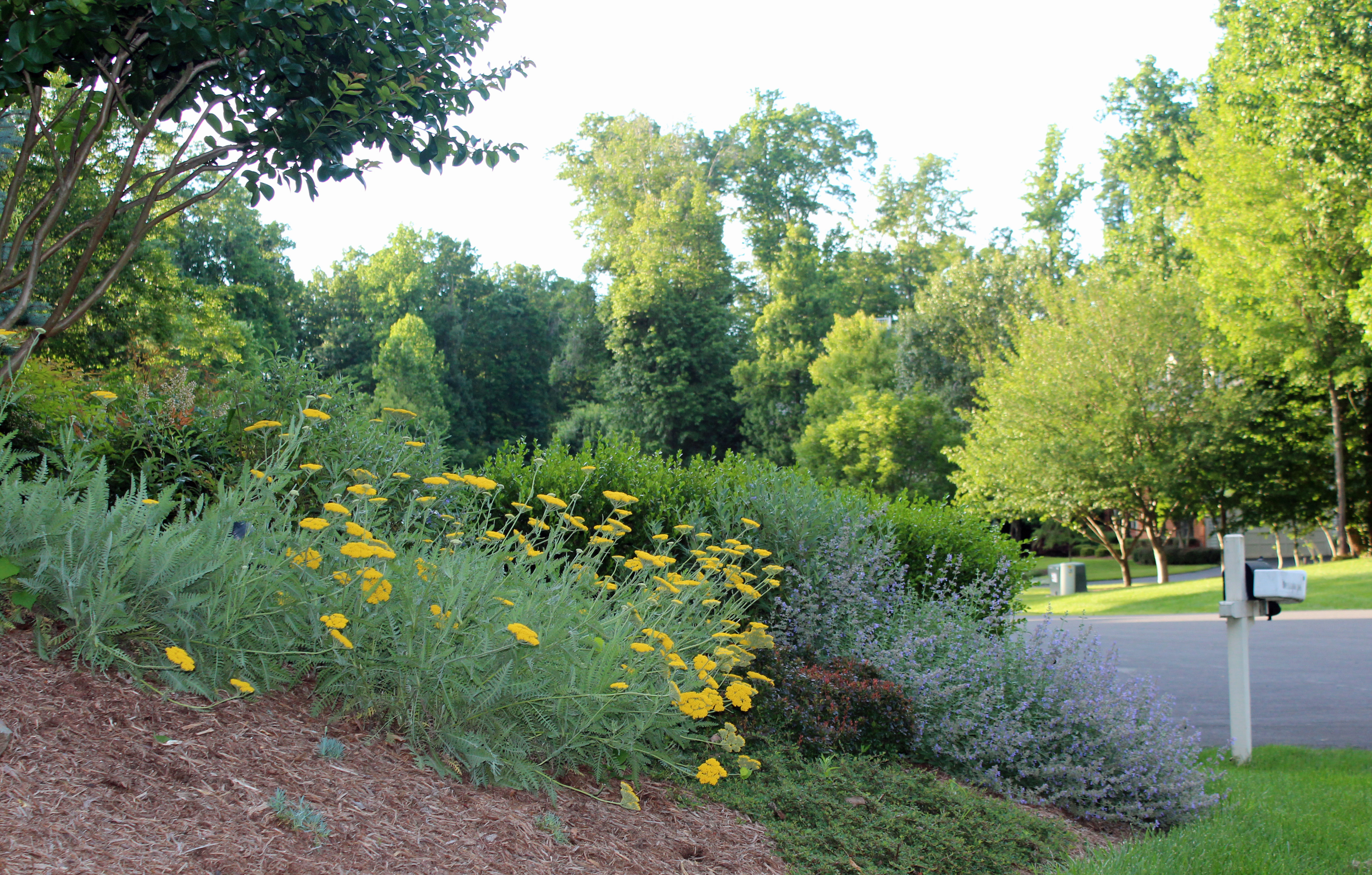 chantilly perennial garden design 