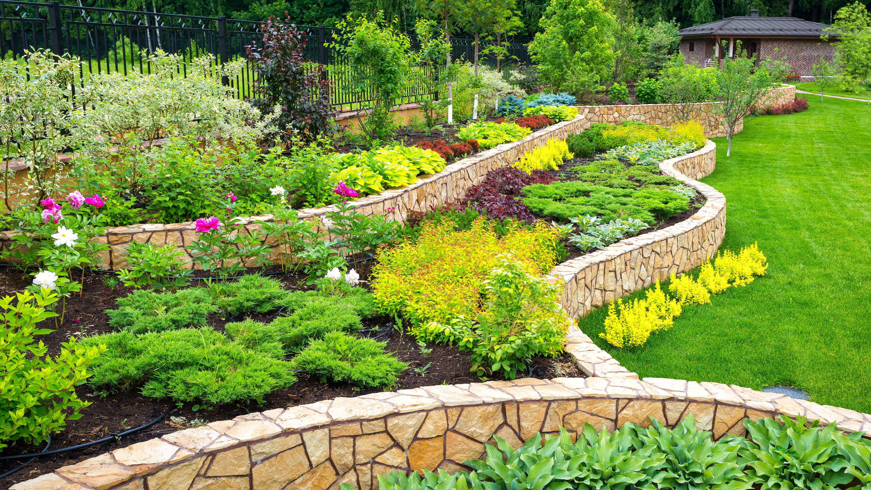 Plant landscape design deals