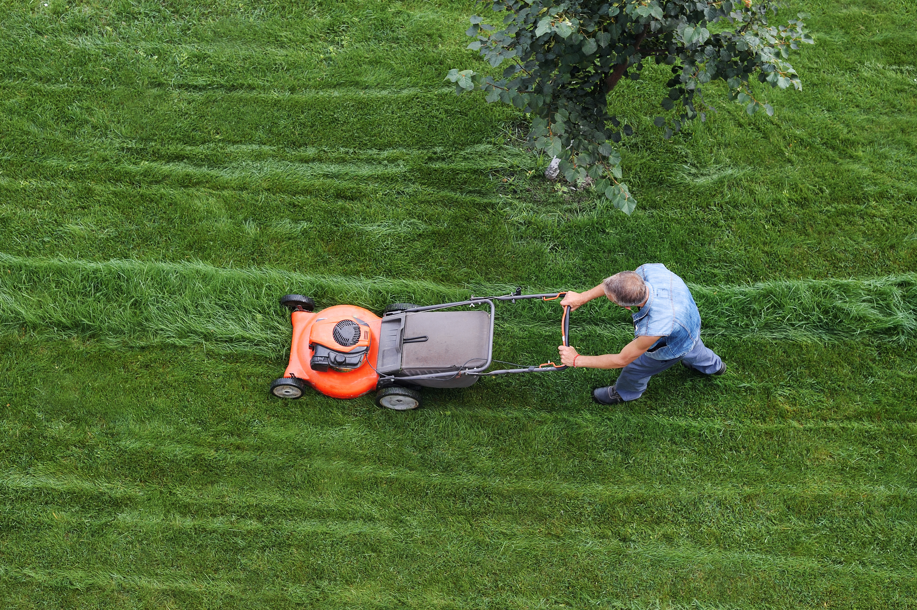 lawn mow